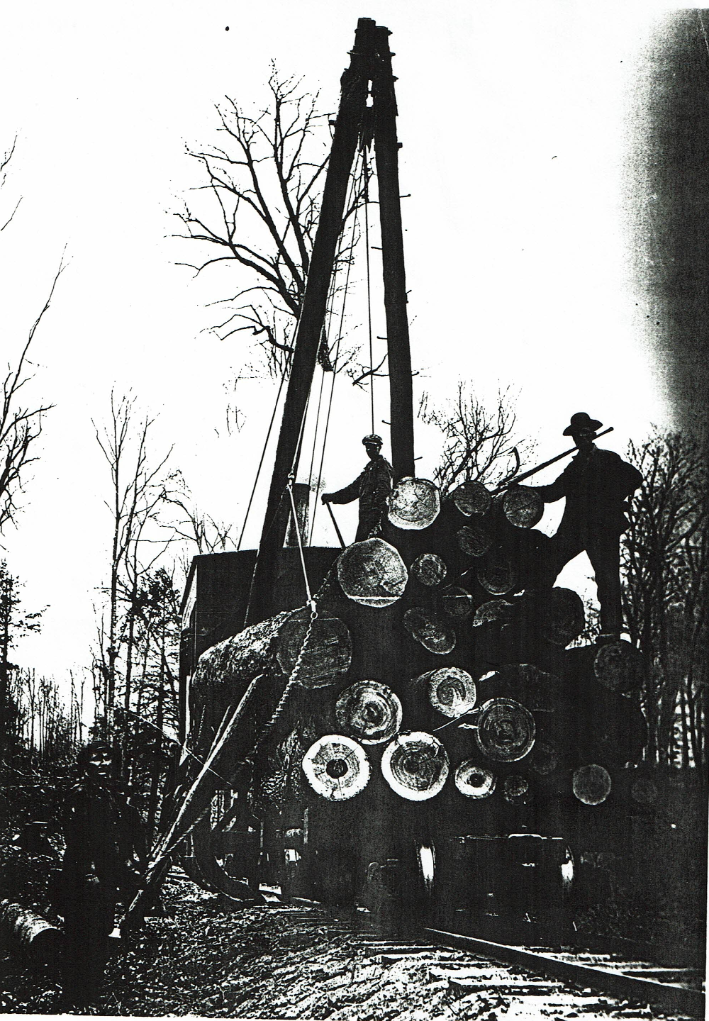 Logging operation once the railroad was brought in.